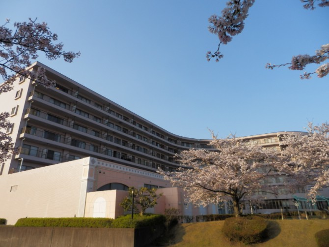 (外観) (外観)