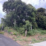 自然豊かな土地